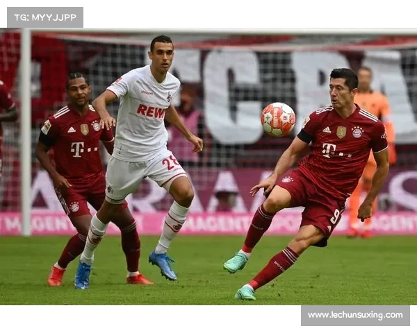 德甲联赛深度解析:社区文化如何塑造球队精神与球迷忠诚 德甲联赛深度解析:社区文化如何塑造球队精神与球迷忠诚